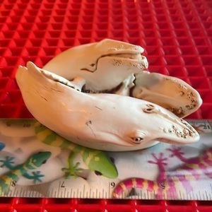 WHALES JUST SWIMMING AROUND